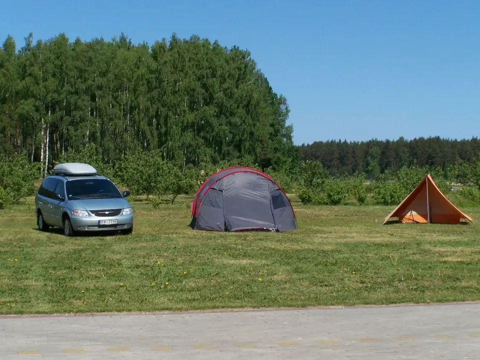 Telšu vietas zaļā pļavā pie meža