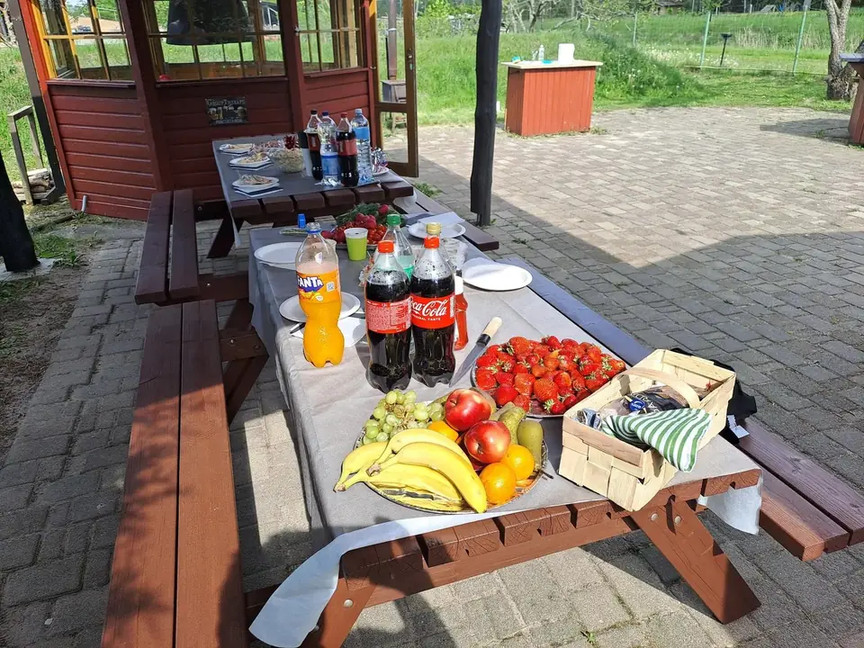Klāts galds ar uzkodām piknikam