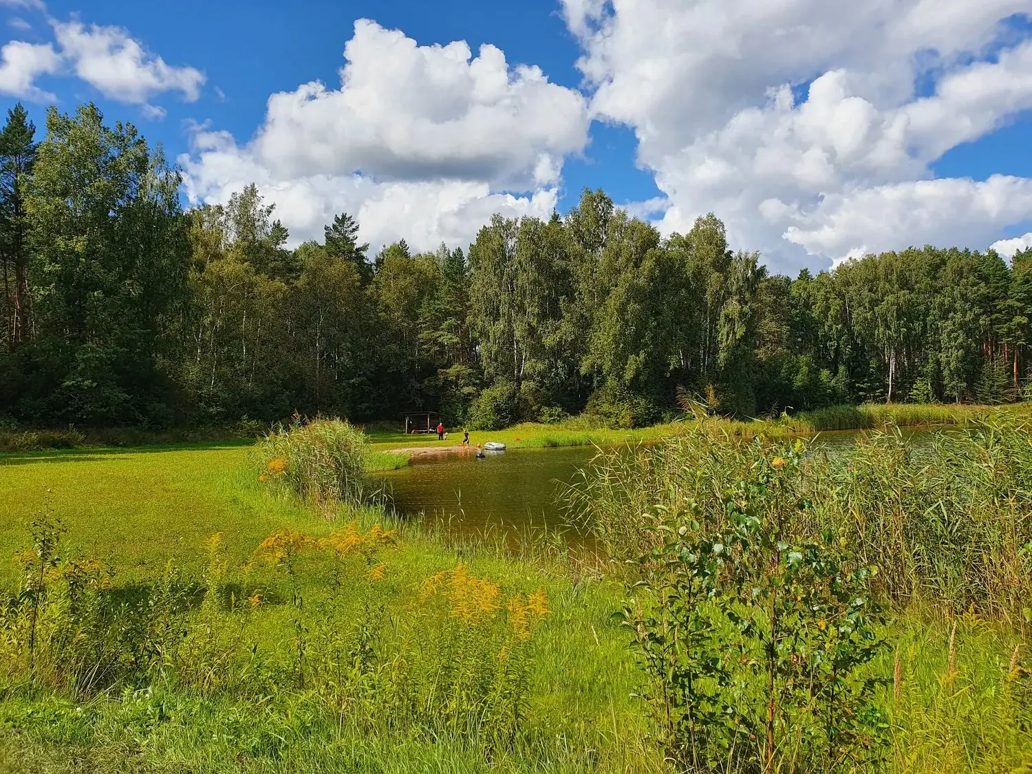 Martiņu ezers saulainā dienā